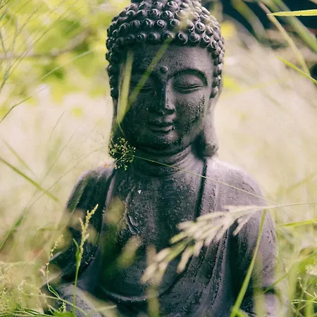 Biosfera Natural Experience Premium W Karkonoszach