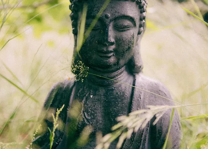 Biosfera Natural Experience Premium W Karkonoszach